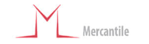 Mercantile Ventures Limited 