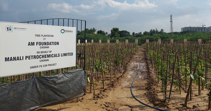 AM Foundation Partners With Greater Chennai Corporation for Its First Miyawaki Technique Tree Plantation Project to Increase the City’s Forest Cover